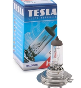 12 V Bulb B11501